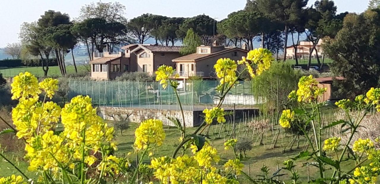 La Casa Nella Prateria Bed & Breakfast Misano Adriatico Exterior photo